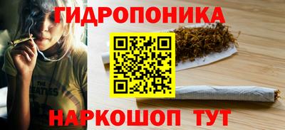 ECSTASY Заволжье