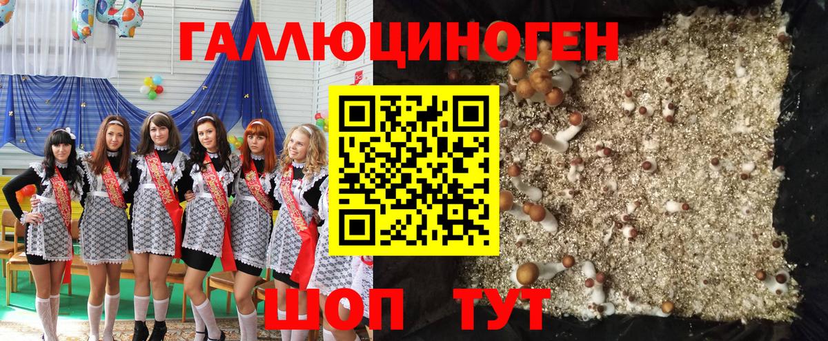 Галлюциногенные грибы Magic Shrooms  Вход с VPN  Кулебаки  Псилоцибиновые грибы мухоморы 